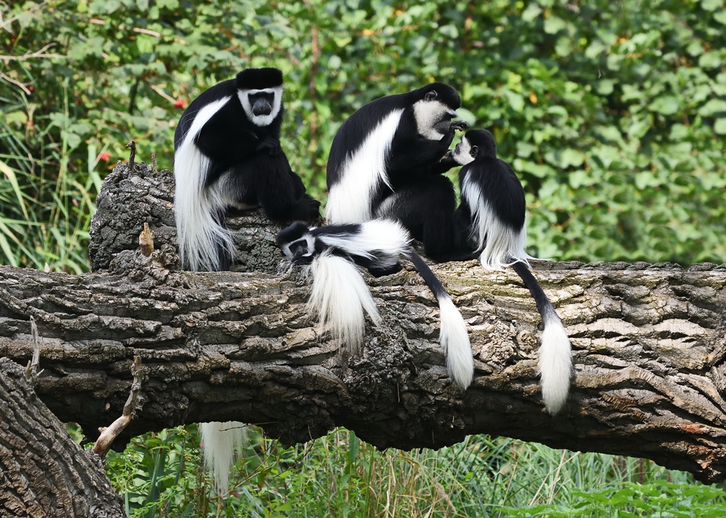 5 Days Hike to Mtae Usambara Mountains