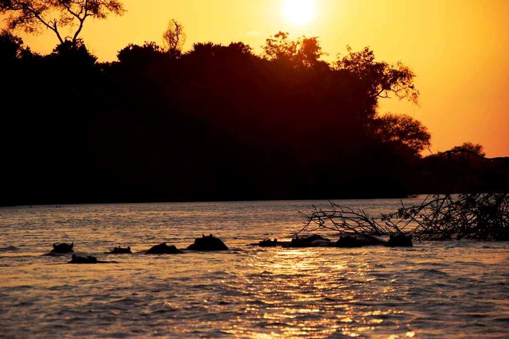 Usambara Mountains Travel Guide