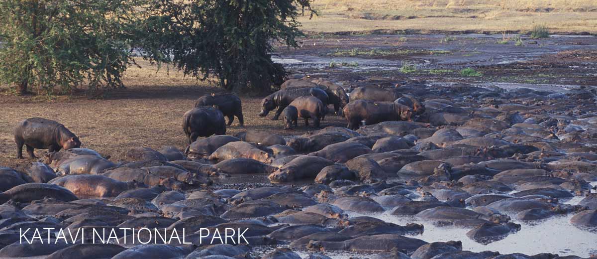 Dry Season Katavi National Park