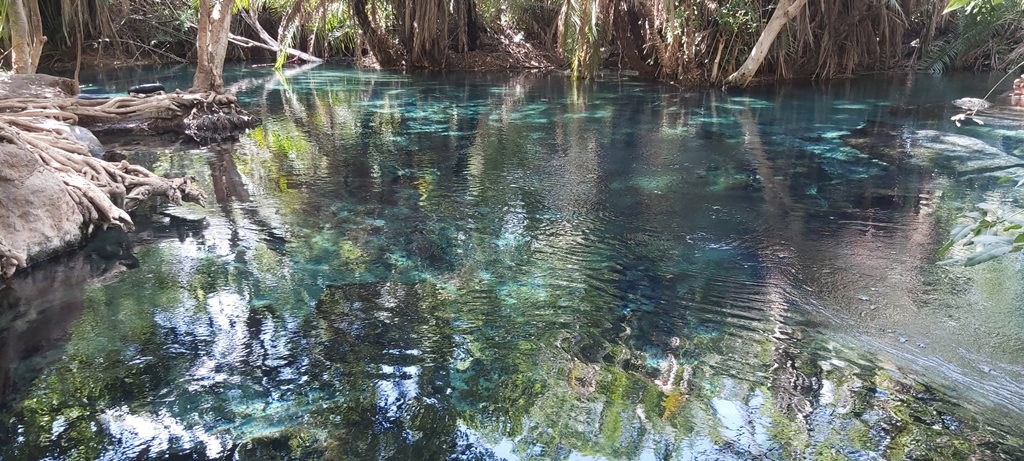 Best Tanzania Trips for First-Time Visitors