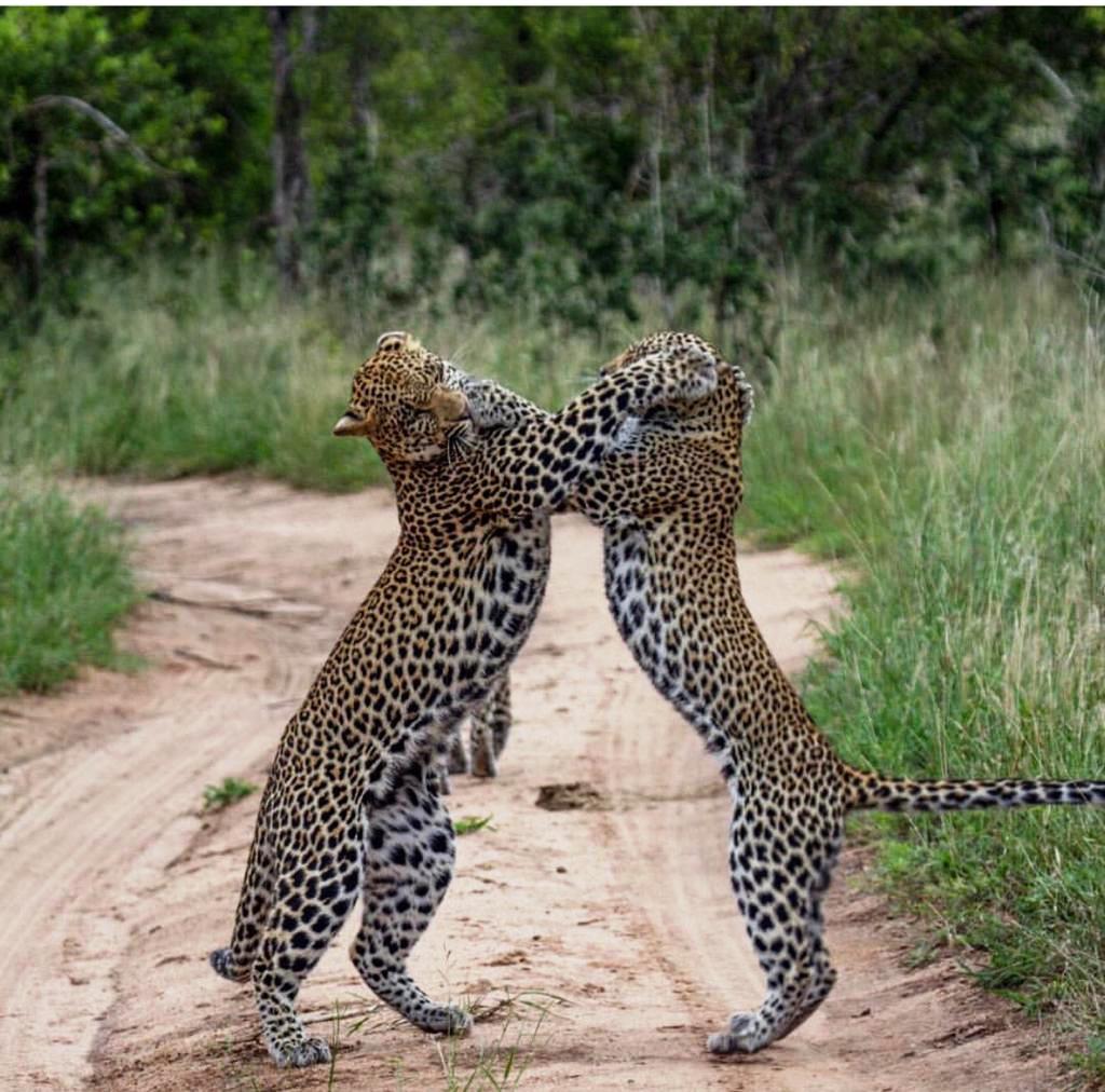 3 Days Wildlife & Hiking – Mikumi National Park & Udzungwa Mountains National Park