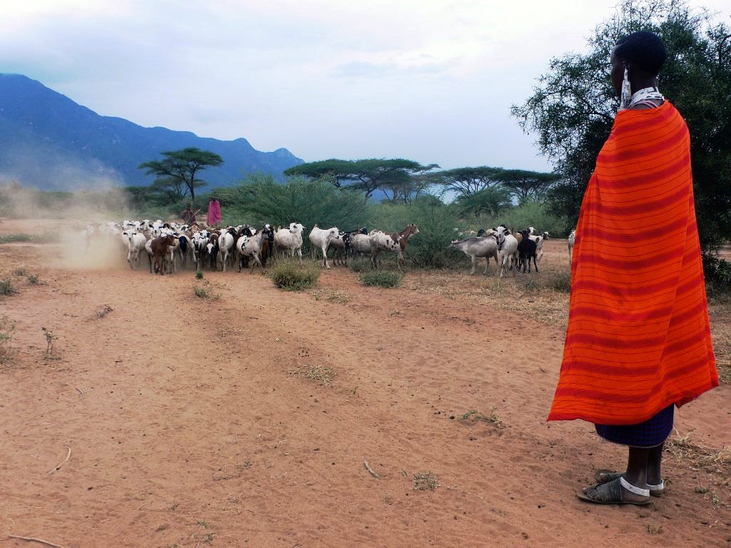 Day Tour to Ol’Doinyo Sambu Maasai Village