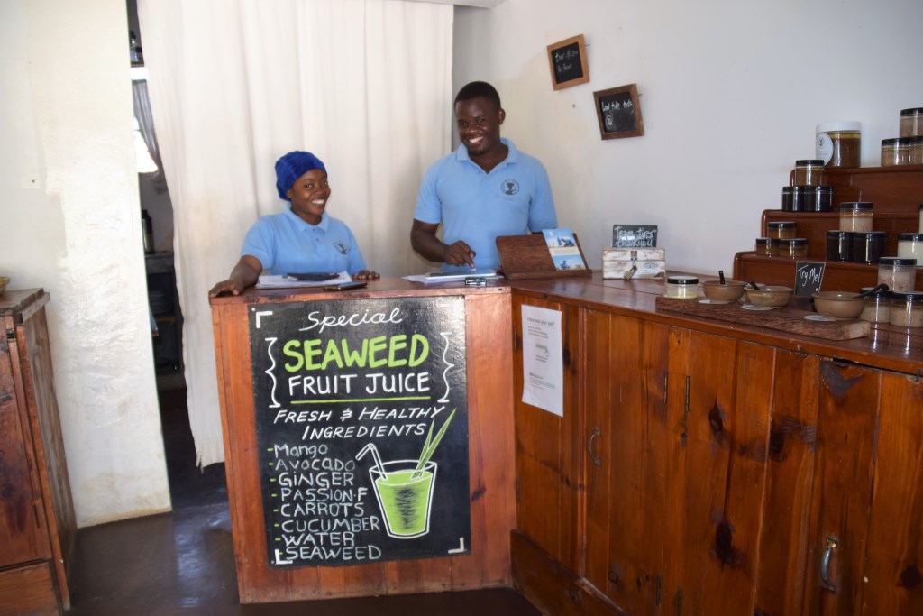 Slave Trade and Colonial History in Tanzania Guide