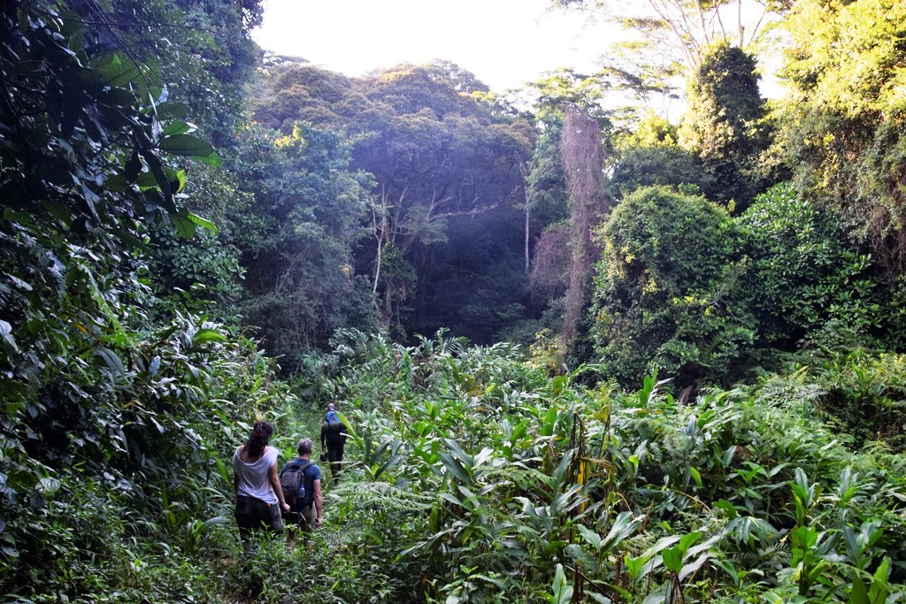 Tanzania Long Itineraries and Multi-Region Journeys Guide