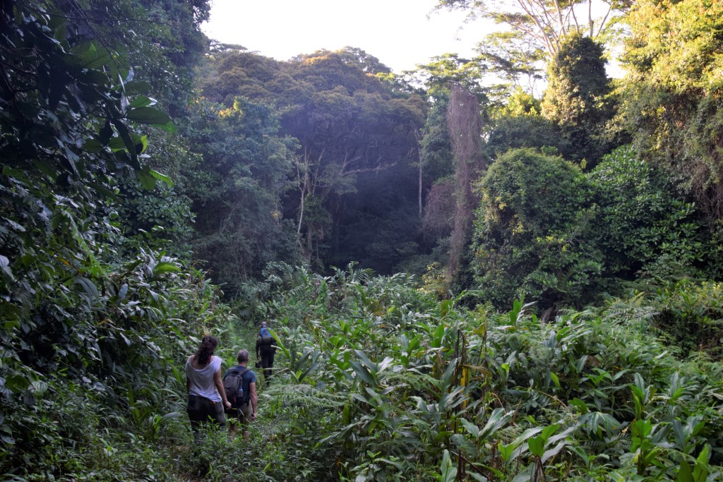 Best Tanzania Beach Holidays Beyond Zanzibar