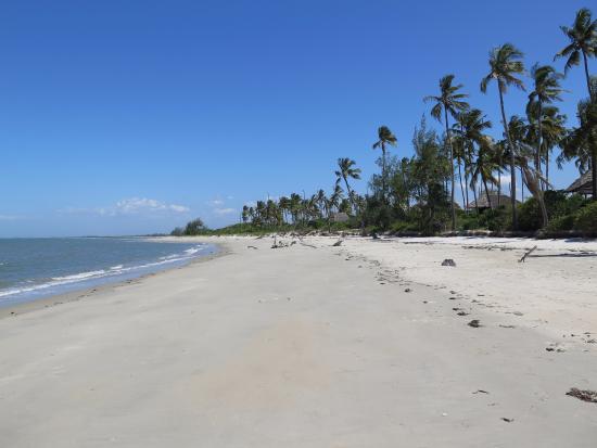 Best Short Safaris from Dar es Salaam