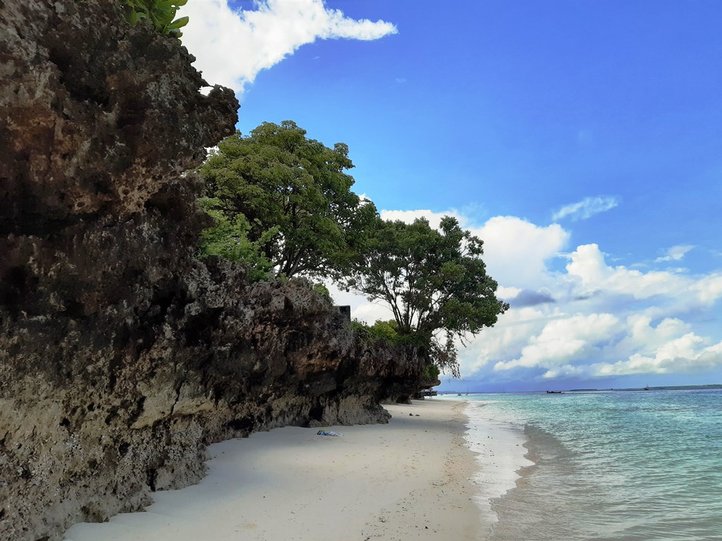 Zanzibar Beach